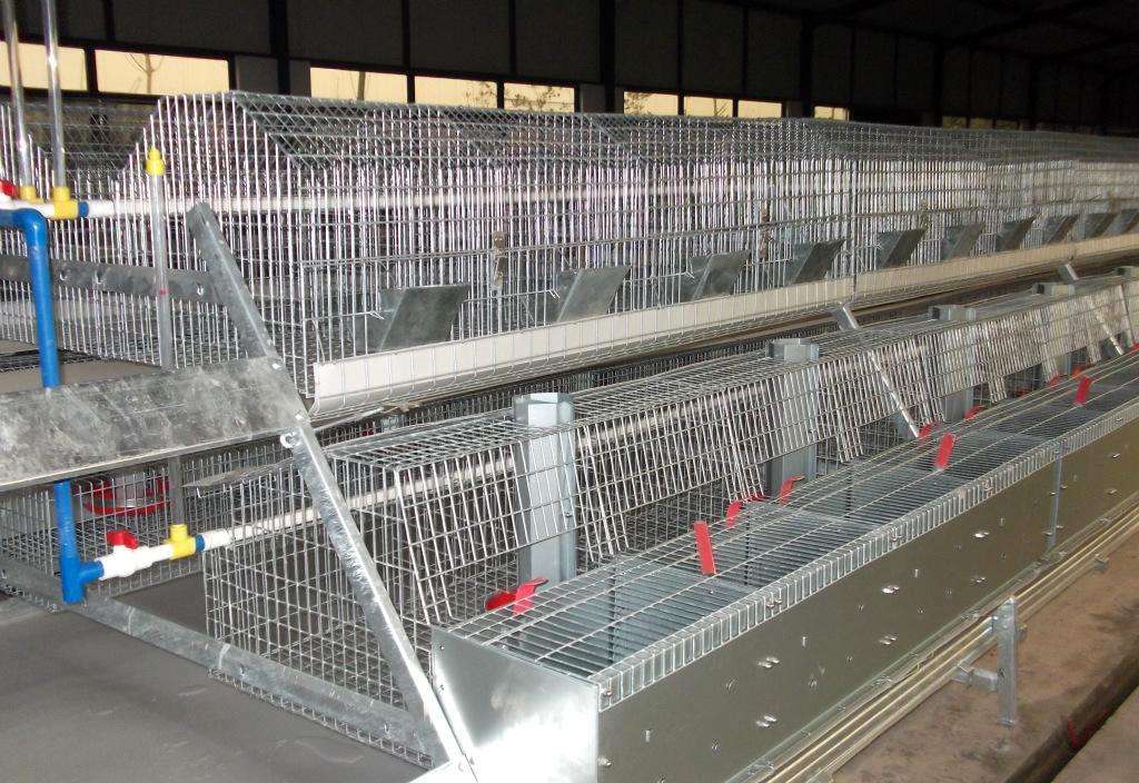 江苏南京市大型兔厂欧式兔笼安装案例